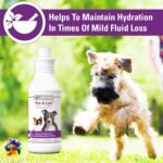 Vet Classics Pet-A-Lyte Oral Electrolyte Solution for Dogs & Cats - 32 Oz - Image 3
