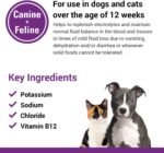 Vet Classics Pet-A-Lyte Oral Electrolyte Solution for Dogs & Cats - 32 Oz - Image 5