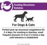 Vet Classics Pet-A-Lyte Oral Electrolyte Solution for Dogs & Cats - 32 Oz - Image 6