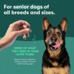 Jinx Senior Dry Dog Food - Real Chicken, Brown Rice & Sweet Potato, 4lb - Image 6