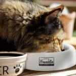 Franklin Sports No-Spill Travel Pet Bowl for Dogs + Cats - 16 oz. - Image 7