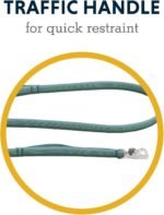Ruffwear, Front Range Dog Leash, 5 ft Lead, River Rock Green - Image 6