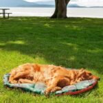Furhaven Outdoor Travel Dog Bed for Large/Medium Dogs w/ Carry Bag, Washable & Foldable, Great for Crates & Kennels - Trail Pup Travel Pillow Mat w/ Stuff Sack Bag - Paprika/Camo-Paw, Large - Image 5