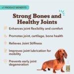 Natural Dog Company Liquid Glucosamine for Dogs, Hip & Joint Oil, 16 fl oz - Image 3