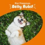 Zesty Paws Probiotics for Dogs, Digestive Enzymes Gut Flora, Digestive Health, Diarrhea & Bowel Support, DE111, Dog Probiotic Soft Chew for Pet Immune System, Pumpkin, 250 Ct - Image 7