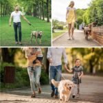 Long Dog Leash 10 FT: Heavy Duty Rope Leashes for Dogs Training with Swivel Lockable Hook Reflective Threads Bungee and Padded Handle - Dog Lead for Large Small Medium Dogs Outside Walking Hiking - Image 6