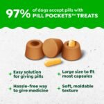 Greenies Pill Pockets Large Size Dog Treats, Peanut Butter, 15.8 oz - Image 3