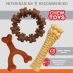 Nylabone Power Chew Customer Favorites Dog Chew Toys, 3 Count, Large - Image 3