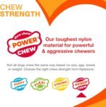 Nylabone Power Chew Customer Favorites Dog Chew Toys, 3 Count, Large - Image 4