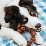 Nylabone Power Chew Customer Favorites Dog Chew Toys, 3 Count, Large - Image 5