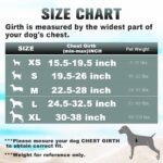 BARKBAY Dog Harness for Large Dogs No Pull Dog Vest ID Tag Pocket - Image 4