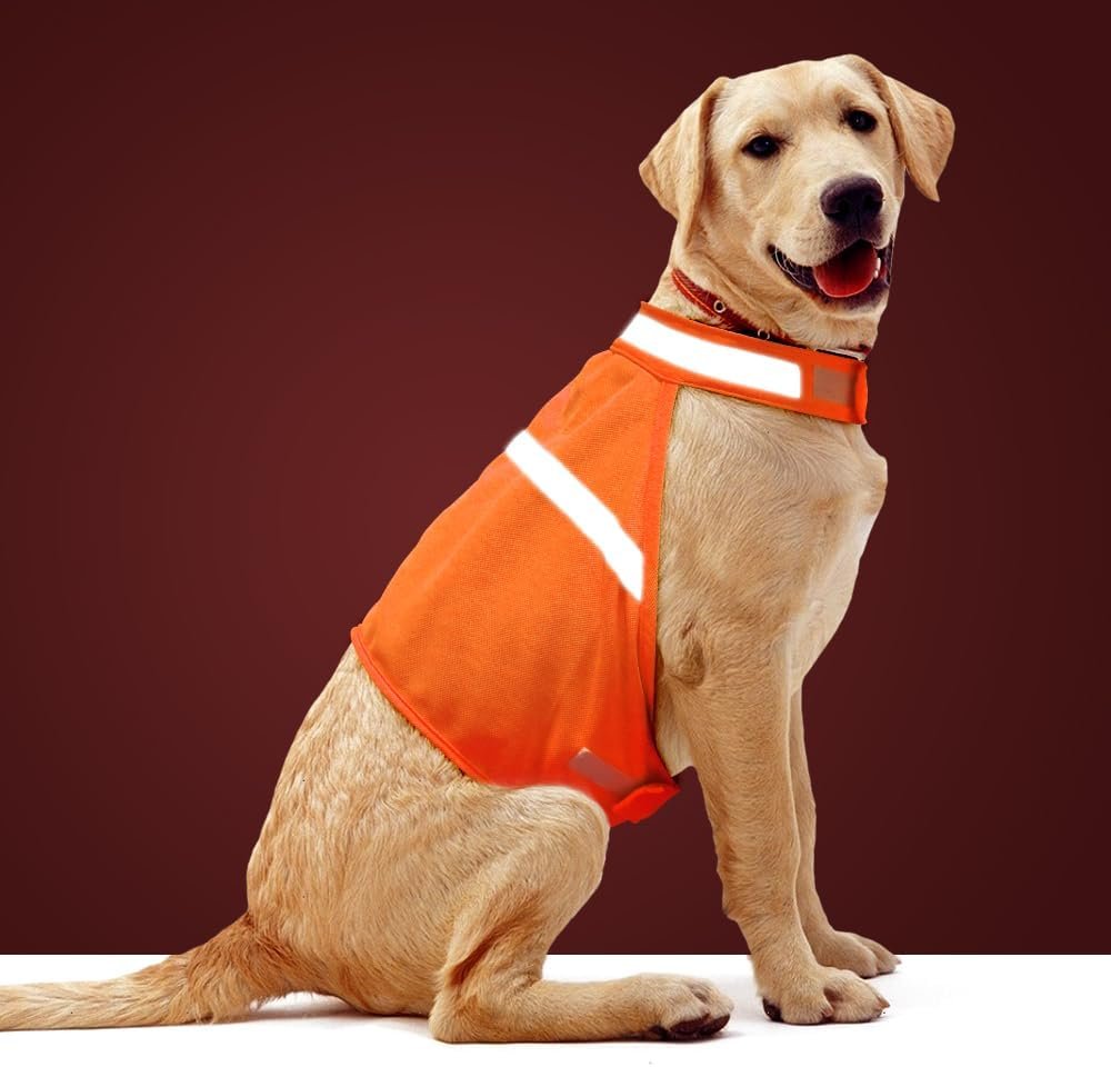 Dog Jacket High Visibility Safety Reflective Dog Vest for Small Medium Large Dogs (Large, Orange) Dog Jacket High Visibility Safety Reflective Dog Vest for Small Medium Large Dogs (Large, Orange)