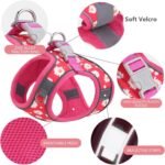Step in Dog Harness No Pull Flower Adjustable Soft Mesh Harness - Image 4