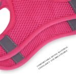 Step in Dog Harness No Pull Flower Adjustable Soft Mesh Harness - Image 5