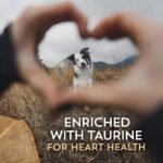Wholesomes Sensitive Skin & Stomach Large Breed Salmon Dry Dog Food 30 lb - Image 5