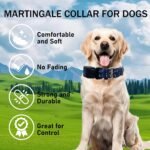 Martingale Collar for Dogs with Buckle Heavy Duty Boy Dog Collar for Medium Dogs, Deep Blue Shark - Image 4