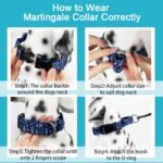 Martingale Collar for Dogs with Buckle Heavy Duty Boy Dog Collar for Medium Dogs, Deep Blue Shark - Image 5