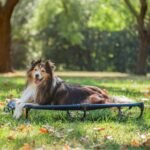 CANINE CANYON Upgraded Non-Slip Daisy Cot, Medium Foldable Elevated Dog Bed, Portable Raised Outdoor Dog Cot for Camping/Home, Chew Proof Waterproof Heavy Duty Up to 160 Lbs, Dark Blue, 32"x 23" - Image 8