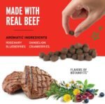Pet Botanics Training Rewards Soft & Chewy Dog Treats, Beef, 20 oz Bag - Image 3