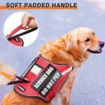 Service Dog Harness and Leash Set, Training Dog Vest with 10 Dog Patches, Emotional Support Therapy Dog Vest Harness for Small Medium Large and Extra Large Dogs(Red, S) - Image 5