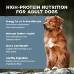 Blue Buffalo Wilderness Chicken & Wholesome Grains Adult Dry Dog Food 4.5lb - Image 3
