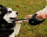 TUG Original Retractable Dog Leash, 16 ft (Small, Black/Grey) - Image 4
