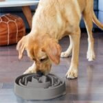 Outward Hound Fun Feeder Slo Bowl Dog Slow Feeder, Drop, Gray, 11.8" - Image 6