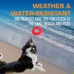 Nerf Dog Atomic Flyer Outdoor Dog Toy, 10 Inch Flying Disc Dog Fetch Toy, Rubber Dog Toy for Medium Dogs and Large Dogs, Red - Image 3