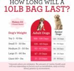 Dr. Harvey's Canine Health Dehydrated Dog Food Base Mix (10 lb) - Image 5