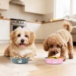 4 Pack Stainless Steel Dog Bowls, 29 OZ Metal Dog Bowls, 3.6 Cups - Image 6