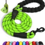 Taglory Rope Dog Leash for Medium Large Dogs, 6 FT Padded Handle, Green