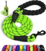Taglory Rope Dog Leash for Medium Large Dogs, 6 FT Padded Handle, Green