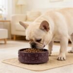Dog Bowl，Ceramic Dog Bowls, 3 Cups 30.4OZ for Medium Dogs and Puppies，Non-Slip Weighted Pet Bowl, Can be Used as Food Bowl or Water Bowl with Paw Print Pattern (Purple Paw) - Image 7