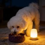 Dog Bowl，Ceramic Dog Bowls, 3 Cups 30.4OZ for Medium Dogs and Puppies，Non-Slip Weighted Pet Bowl, Can be Used as Food Bowl or Water Bowl with Paw Print Pattern (Purple Paw) - Image 9