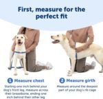 PetSafe Easy Walk Harness, No Pull Dog Harness, Teal, Medium - Image 2