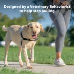 PetSafe Easy Walk Harness, No Pull Dog Harness, Teal, Medium - Image 3