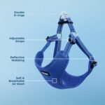 Voyager Step-in Flex Adjustable Dog Harness - Royal Blue, Medium - Image 3
