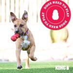 KONG Ring, Natural Rubber Chew Toy for Dental Health, for Small/Medium Dogs - Image 7