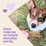 Wellness Old Mother Hubbard Classic Original Mix Dog Biscuits, Natural Training Treats, 4 Flavors, Small Size, 6 lb Bag - Image 4
