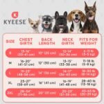 KYEESE Dog Cooling Vest Evaporative Dog Cooler Jacket for Hot Days - Image 6