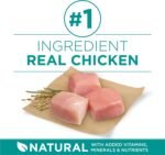 Purina ONE Plus Digestive Health Dry Dog Food, Chicken, 16.5 lb Bag - Image 3