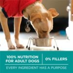 Purina ONE Plus Digestive Health Dry Dog Food, Chicken, 16.5 lb Bag - Image 7