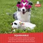 Multipet Lamb Chop Dog Plush Toy with Birthday Hat - Squeaky Dog Toy - Image 4