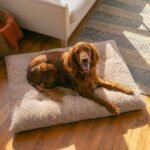 Best Friends by Sheri Comfy Crate Dog Bed Washable, Mushroom, 42" x 28" - Image 6