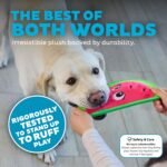 Outward Hound Tough Skinz Durable Chew Squeaky Dog Toy, Watermelon, 9.8" - Image 3