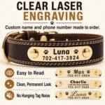 Personalized Dog Collar - Custom Leather Dog Collar with Engravable Nameplate - Durable Name Tag Collar - Customizable Dog Collar - Comfortable ID Collars for Small, Medium, Large Dogs (Large) - Image 3