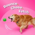 Hartz DuraPlay Bacon Scented Dog Toys, Small (Assorted Color) - Image 4