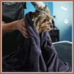 8 Pcs Dog Towel for Drying, 40 x 24 Inch, Dog Paw and Bone, Brown, Gray - Image 5