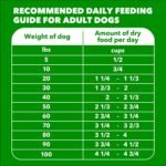 IAMS Proactive Health Adult Minichunks Dry Dog Food, Chicken, 5 lb - Image 9