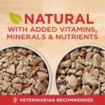 Purina ONE Wet Dog Food Variety Pack, Tender Cuts, (2 Pack of 6) 13 oz Cans - Image 3